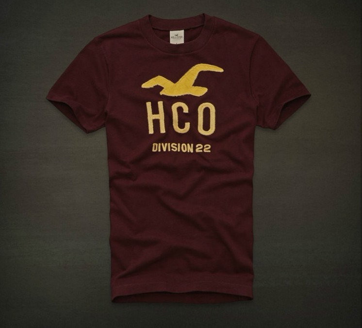 Tee shirt Hollister Marron Homme